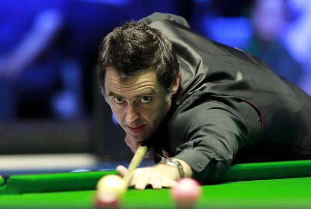 鹈鹕惊险逆 鹈鹕惊险逆