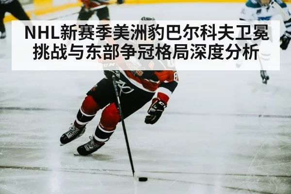 hockey player skating